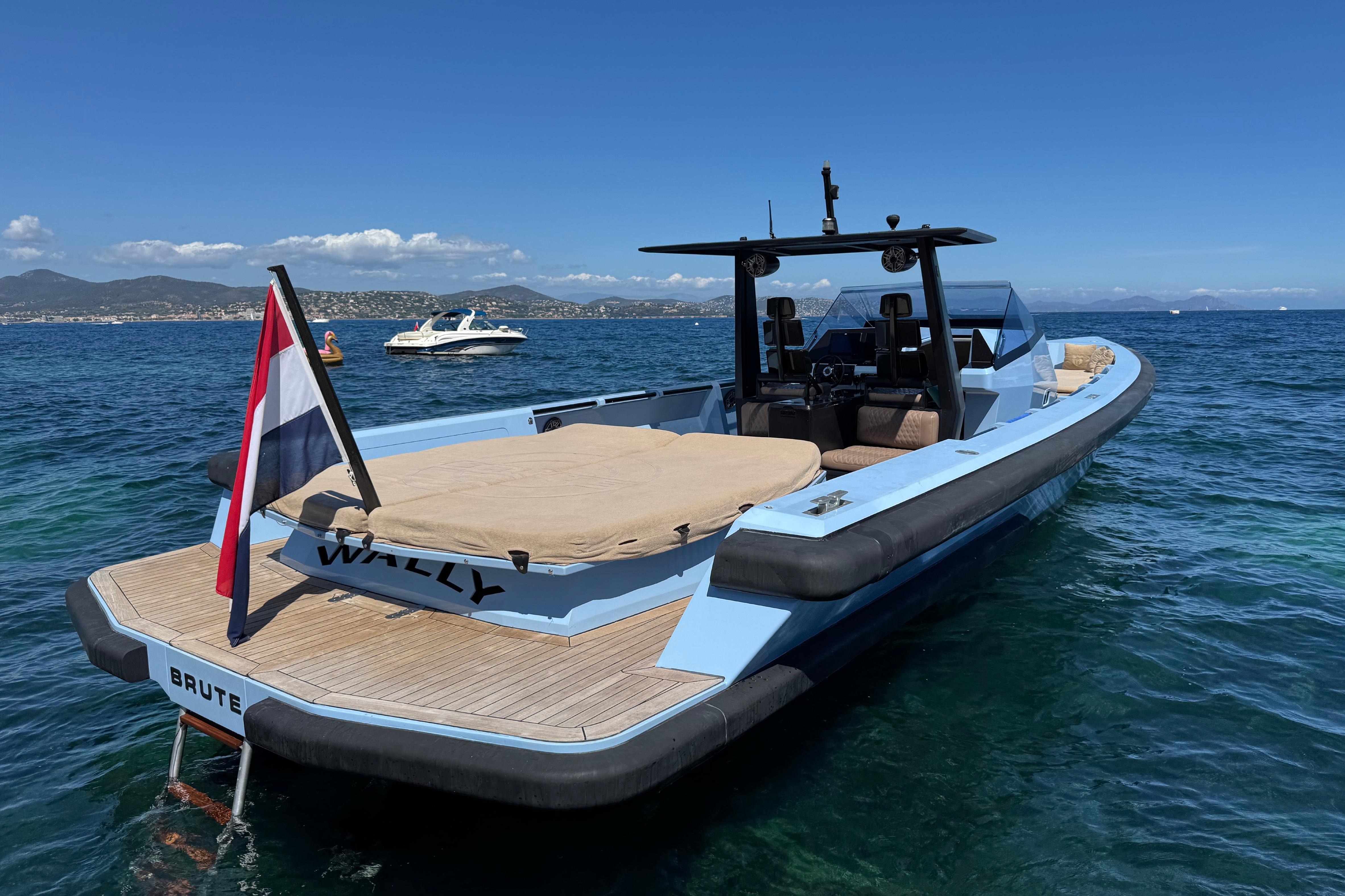 WALLY 45 yacht detail
